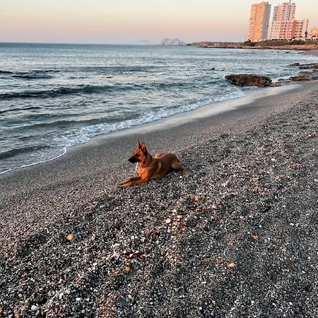Skon Med Havudsigt Og Taet Pa Stranden Apartman *